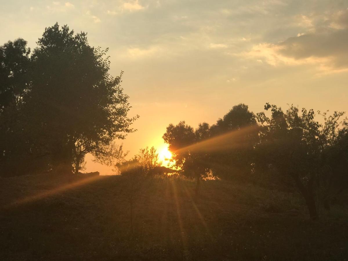 La Villetta Dei Sogni Nel Parco Rom Exteriör bild